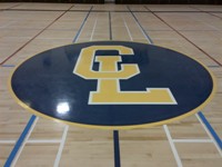 Basketball court centre circle logo