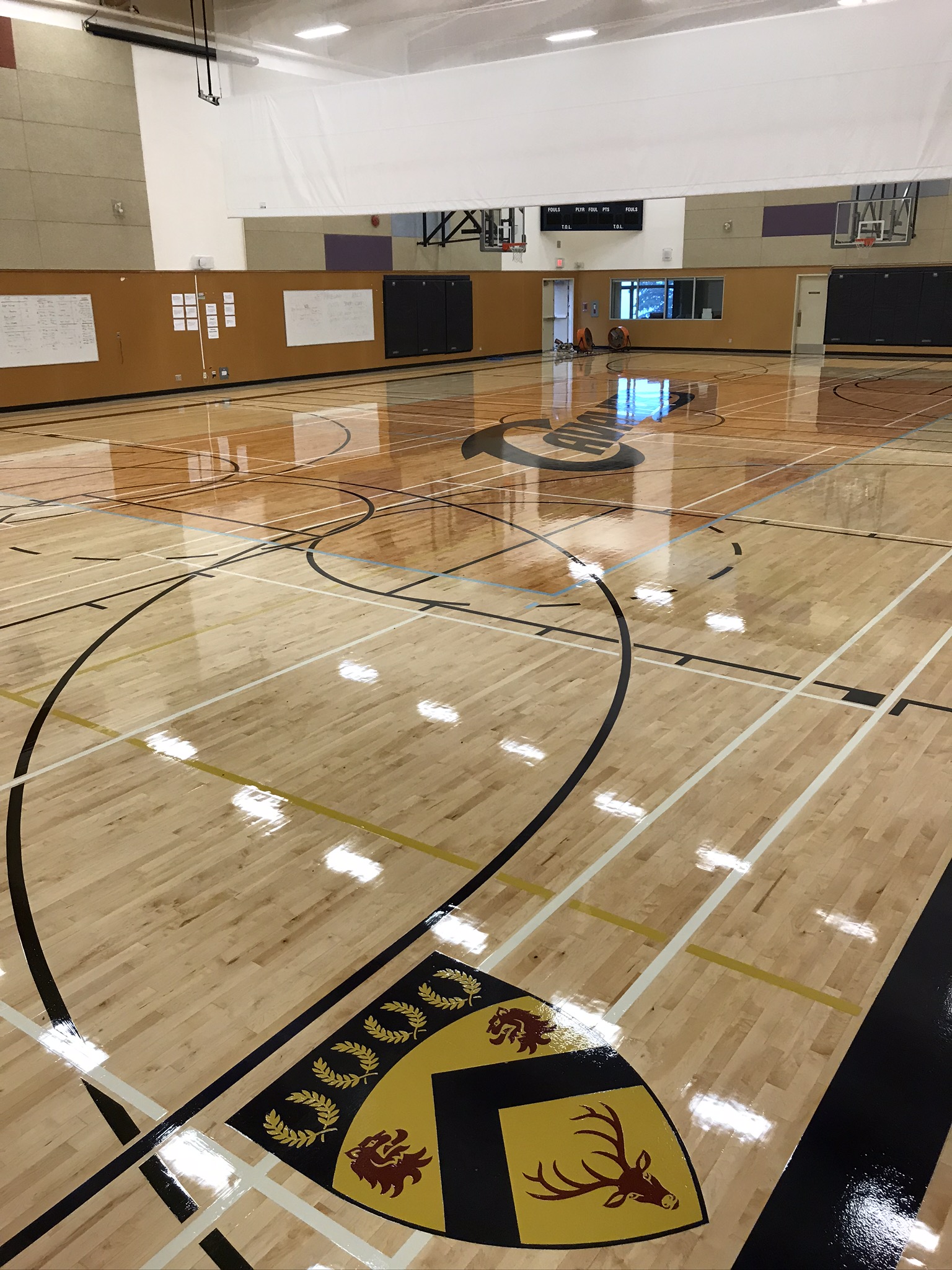 professional hardwood flloring company british Columbia  Canada gymnsaium basketball hardwood floring refimishing restoation blue solid gym maple flooring